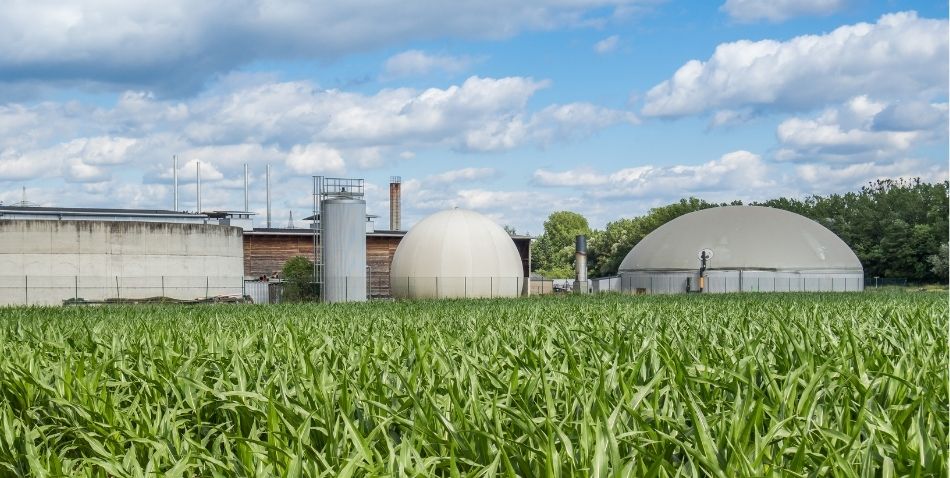 El potencial de España para la producción de biometano