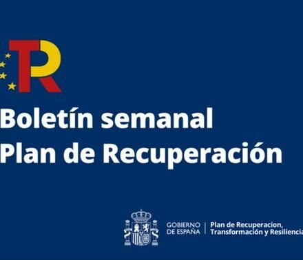 PERTE descarbonización industrial