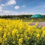 Descarbonización y economía circular a través del biometano