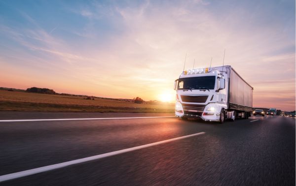 El biometano como vector de la descarbonización