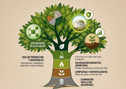 ilustración de un árbol que simboliza las distintas partes de la transición energética