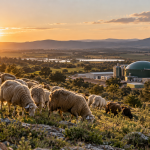 Ganadería extensiva y planta de biogás como modelos de economía circular agroganadera